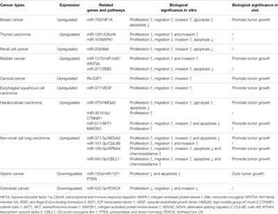 An Update on the Roles of circRNA-ZFR in Human Malignant Tumors
